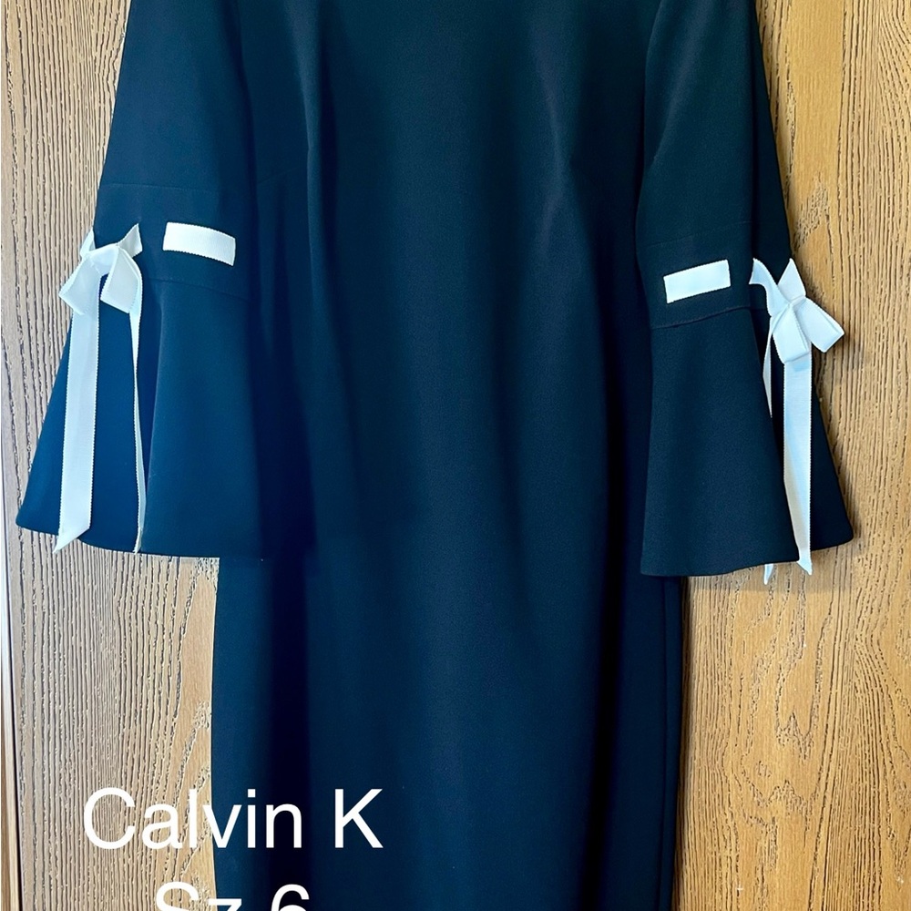 Calvin Klein Black Dress with White Accents